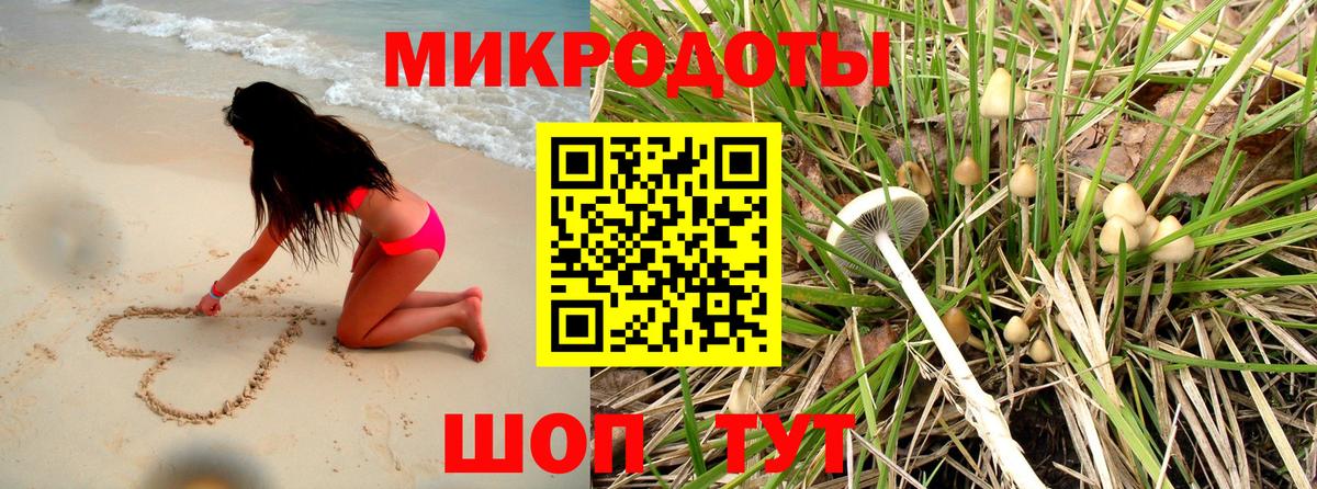 Галлюциногенные грибы GOLDEN TEACHER  Вход с VPN  Шали 